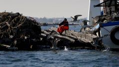 Bateeiros trabajando en la r�a de Arousa