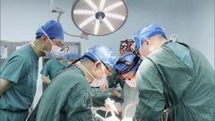 Equipos médicos del Primer Hospital Afiliado de la Universidad Médica de Anhui y la Universidad Agrícola de Yunnan trasplantan un hígado de un cerdo genéticamente modificado a un paciente humano