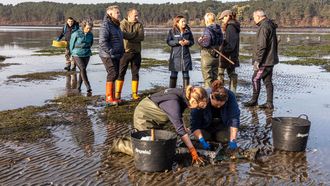 La conselleira Marta Villaverde durante los trabajos de muestreo en un banco marisquero de la cofrad�a de Rianxo
