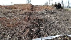 El paso de maquinaria destroz� uno de los t�mulos de Os Campi�os, una necr�polis que a lo largo de su historia ha sufrido el saqueo de sus losas y da�os provocados por los incendios forestales