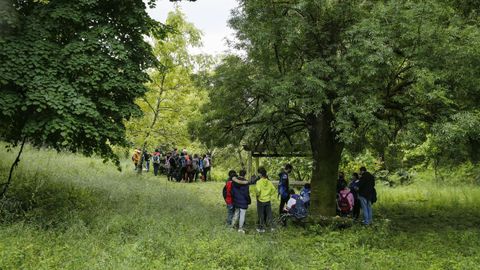 Una ruta por A Conchada