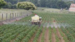 Un agricultor fumiga una finca de patatas