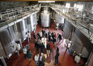 Instalaciones de la bodega Rectoral de Amandi, las de mayor capacidad de Ribeira Sacra. 