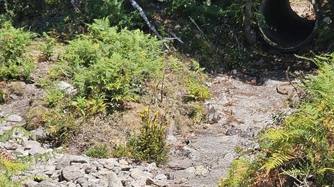 Cauce seco del regato do Bat�n, Campelo, A Lama