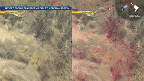A la izquierda, el desierto en 2025; a la derecha, en 2026.