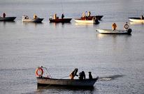 En la fotograf�a, mariscadores a flote extrayendo almeja de As P�as para la batea. 