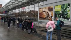 Colas en los supermercados