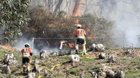 Varios bomberos trabajan en las labores de extinci�n del incendio registrado la pasada noche en el Monte Naranco de Oviedo