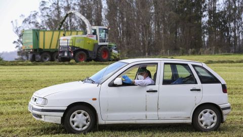 Comienza el ensilado de forraje con una normalidad relativa