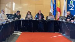 El pleno de Nigr�n se celebr� ayer