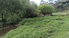 Nueva finca expropiada tras el cambio del cauce del arroyo Bidueira