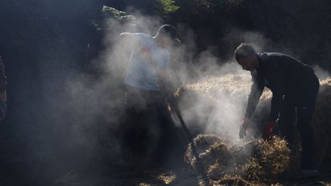 Los alumnos trabajaron en la zona de Pozo do Demo, en Vern.