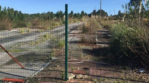 Terrenos de Xuncabranca, en Vilalonga