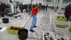 Subasta de pescado y marisco en el Muro, la lonja del puerto de A Coru�a
