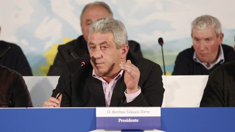 Bertino Velasco, presidente de Capsa