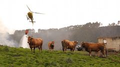 Extinci�n de los incendios en Asturias