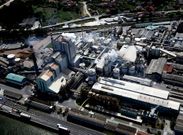 Los sindicatos desconocen cu�ntos de los 144 despidos de Ence ser�n en la factor�a de Louriz�n.