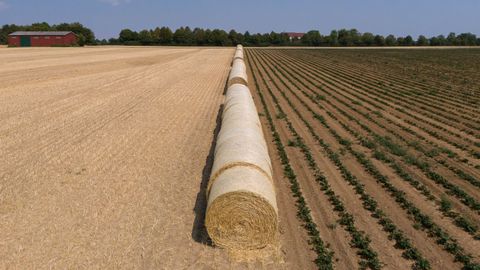 Una imagen muestra pacas de paja en un campo de Frankfurt am Main, Alemania. La Asociaci�n de Agricultores Alemanes (DBV) ha alertado del impacto del calor, la sequ�a y la falta de precipitaciones en la agricultura alemana.
