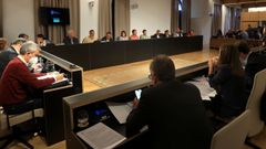El pleno de Pontevedra aprob� por unanimidad la propuesta del PSOE para crear una bolsa municipal de vivienda de alquiler