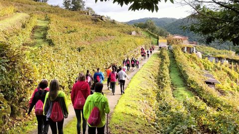 Un aspecto de la edicin anterior de la Andaina Solidaria Chantada Contra o Cancro