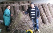 Los fondos del Leader impulsaron iniciativas como la fabricaci�n de cierres vegetales con maleza. 