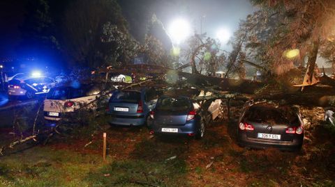 Cae un rbol encima de siete coches en ACEA Da Ama