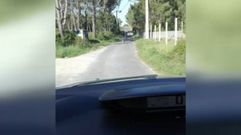 Una voluntaria de A Moura graba c�mo abandonan a un perro en Agui�o