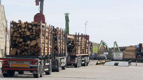 Camiones cargados de madera esta semana en el puerto comercial de Burela