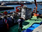 <span lang= es-es >Una imagen al rev�s</span>. El jueves, los puertos estaban llenos de actividad. Pero en vez de estar enviando mejill�n hacia los mercados, los bateeiros lo estaban embarcando de vuelta a las bateas.