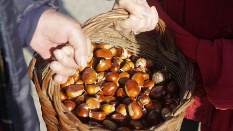 El proyecto busca potenciar la venta de los productos locales de la zona