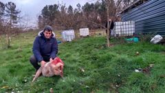 El propietario de la finca con una de las ovejas que resultaron muertas en el ataque