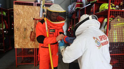 Bomberos prepar�ndose contra las velutinas. 