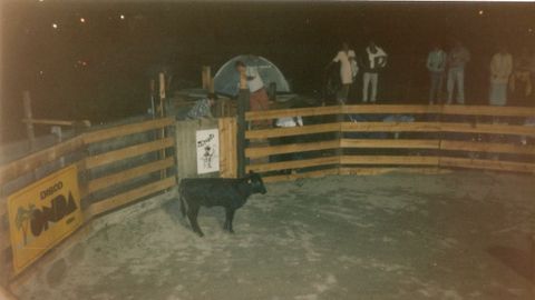 Las vaquillas en Minuetto.