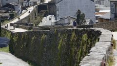 Los da�os que sufre la Muralla de Lugo