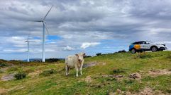 Parque e�lico Forgoselo, de Iberdrola