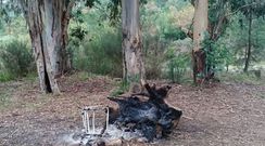 As� qued� uno de los tocones que usaron para quemar en una hoguera