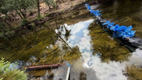L�nea de sacos para contener agua y mantener sumergida la captaci�n complementaria para Ponte Caldelas en el Verdugo