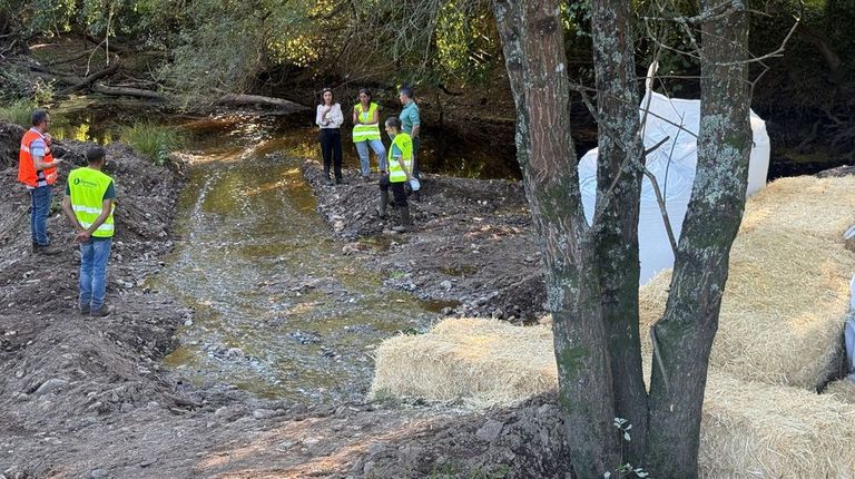 La conselleira de Medio Ambiente, �ngeles V�zquez, acudi� este martes al puente de A Torre, en Trazo