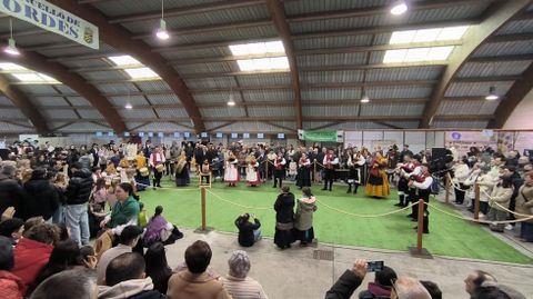 Arranca en Ordes la Festa do Lac�n con Grelos