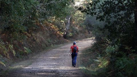 Un peregrino solitario en el tramo del camino de Invierno que entra en el municipio de Monforte desde A Pobra do Broll�n