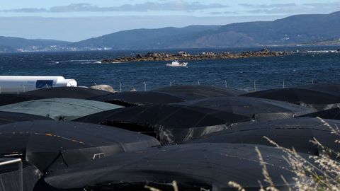 Tanques con un barco pescando en la reserva marina de Os Mi�arzos