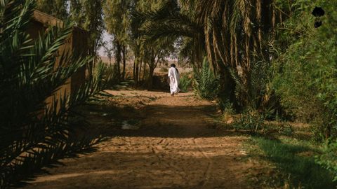 trabajo de reforestacin que Alexandre y su equipo realizan junto a la poblacin local en el oasis a las puertas del desierto.