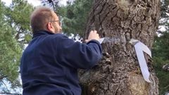 Imagen de los trabajos en enero del a�o pasado