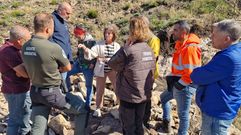 La directora xeral de Planificaci�n e Ordenaci�n Forestal, Luisa Pi�eiro, revis� los trabajos de recuperaci�n en las zonas calcinadas por los incendios forestales del a�o pasado en Viana do Bolo.