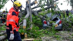 Un �rbol corta el acceso a Moa�a y destroza un �rbol