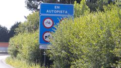En im�genes: la maleza prolifera por la Costa da Morte