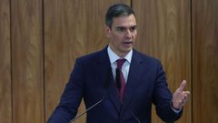 El presidente del Gobierno, Pedro S�nchez, este mi�rcoles en una visita institucional al presidente de Brasil, Lula da Silva.