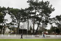 El parque de A Compostela podr�a perder ejemplares centenarios si no se erradica un hongo. 