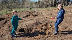 Dos ni�os, plantando �rboles en el monte de A Faqui�a, en el concello pontevedr�s de Mos. 
