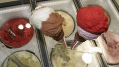 Algunos de los helados artesanales que elaboran en SAT Seixas con una receta tradicional y la leche que orde�an en su granja